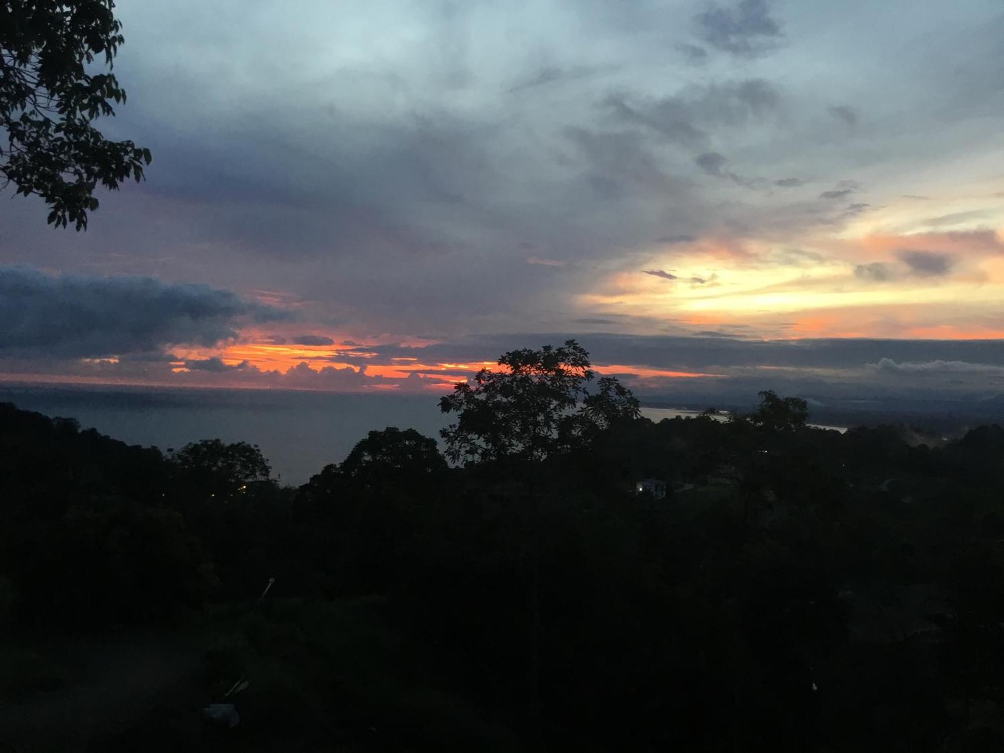 Rose House Manuel Antonio Apartman Quepos Kültér fotó